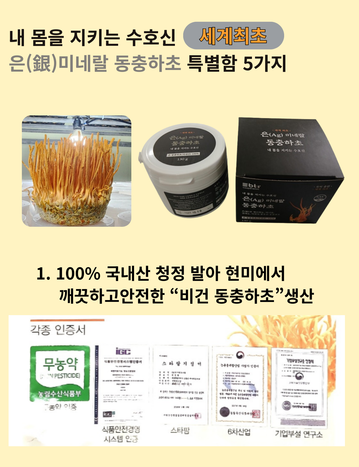 두 번째 이미지