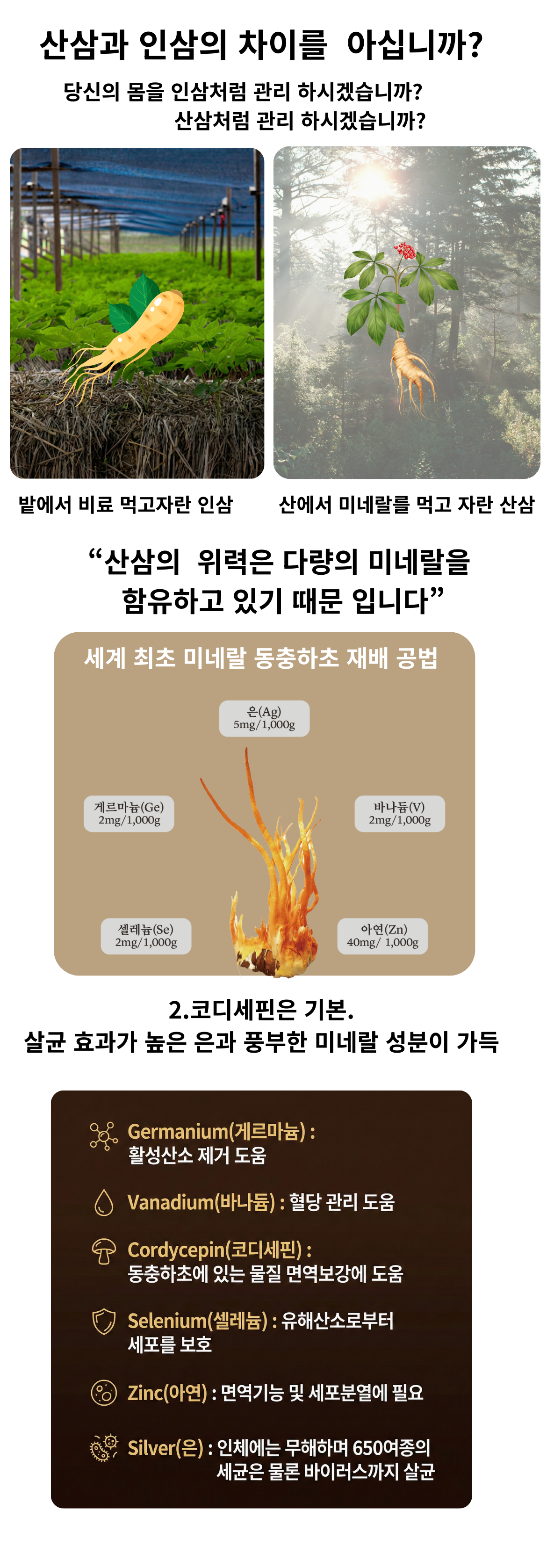 두 번째 이미지